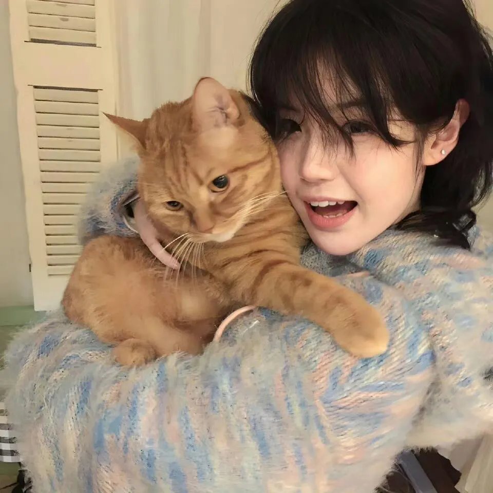 中华熊猫